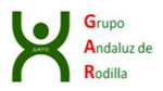GRUPO ANDALUZ DE RODILLA